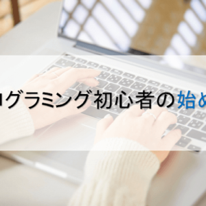 プログラミング初心者の始め方 言語選びや勉強方法 何から に答える